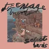 Image de Teenage Moods - Select Buds (12" Single)