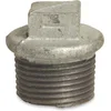 Image de Plug 290 Met Rand 1Bu Verz