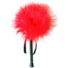 Image de SECRET PLAY Feather Tickler With Marabou Red