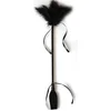 Image de Secretplay - Black Whip & Feather