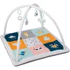 Image de Eurekakids Babygym met Extra Dik Speelkleed (3 cm) - Babykleed met Verschillende Texturen - Met Boog