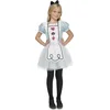 Image de VIVING COSTUMES / JUINSA - Alice kostuum voor meisjes - 7 - 9 jaar - Kinderkostuums