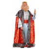 Image de Kostuums voor Volwassenen My Other Me Melchor M/L