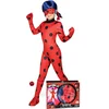 Image de Ladybug Miraculous  kostuum voor kinderen - Verkleedkleding - Maat 152/164