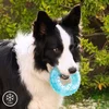 Image de 2 in 1 bevriesbaar kauwspeeltje voor huisdieren Glubiz InnovaGoods