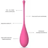 Image de LESLIE | Leslie Kegel Fit Pelvic Muscle Training Set 6 Pcs
