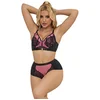 Image de SUBBLIME - 955571 ROZE LAKLEREN MESH RITS BH SET S/M | LINGERIE | LINGERIE SET | SEXY LINGERIE | EROTISCHE LINGERIESET