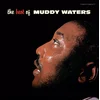 Image de The Best of Muddy Waters