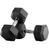 Image de Bodytone Hex Dumbbells 12.5kg Zilver 12.5 kg