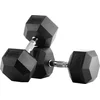 Image de Bodytone Hex Dumbbells 20kg Zilver 20 kg