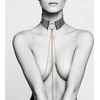 Image de Désir Métallique Collar