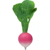 Image de Oli & Carol Ramona The Radish Bijtspeeltje