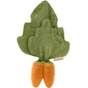 Image de Oli & Carol Cathy The Carrot Bijtspeeltje