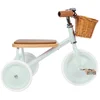 Image de Banwood Driewieler - Pale Mint - Driewieler vintage - 2-6 jaar - Kinderfietsje