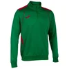 Image de Joma Championship Vii Sweatshirt Met Halve Rits Groen S Man