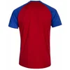 Image de Joma Tiger Vi T-shirt Met Korte Mouwen Rood L Man