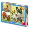 Image de Dino puzzel speelgoed - familie puzzelset - 3-in-1 - 55 stukjes.
