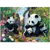 Image de Dino puzzel - 1000 stukjes - Pandas - legpuzzel voor volwassenen.