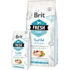 Image de Brit Fresh Fish & Pumpkin Adult Large Breed 12 kg - Hond