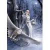 Image de Art Puzzle puzzel Midnight Messenger - 1000 stukjes fantasy.