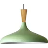 Image de Bamyum Champion Træ Hanger, 35 cm Hanglamp Metaal E27 , Scandinavische Mintgroen Hanglamp