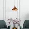 Image de Verlichting - Kroonluchter Lydia in Veelkleurig Metaal - Afmetingen 26x26x128cm - Ideaal voor Stijlvolle Interieurs