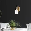 Image de Asir - Wandlamp - Goud - Metalen behuizing met glazen kap
