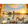 Image de Magnolia puzzel Swans near Charles Bridge - 1000 stukjes legpuzzel.
