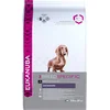 Image de Eukanuba Dachshund/Teckel - Breed Specific - Kip - Hondenvoer - 2.5 kg