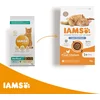 Image de IAMS Kat Adult Sterilised - Overweight Kip - 3 kg