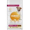 Image de Iams Dog Senior Small - Medium Kip 5 kg