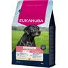 Image de Eukanuba Senior Large Breed Kip - Hondenbrokken - 3 kg