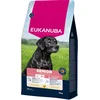 Image de Eukanuba Senior Large Breed Kip - Hondenbrokken - 15 kg