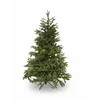 Image de Black Box Frasier Fir Kunstkerstboom - 215 x 145 cm - Groen