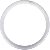 Image de Philips MASTER TL-E Circular Super 80 40W - 840 - 4000K Koel wit - 40cm