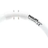 Image de Philips Master TL5 Circular 22W/840 2GX13