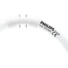 Image de Philips Master TL5 Circular 55W/830 2GX13