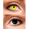 Image de Boland - Paar 3-maands duolenzen Crazy witch - Volwassenen - Halloween en Horror, Gothic - Halloween en Horror- Gothic