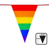 Image de Vlaggenlijn Regenboog pride 10m.