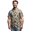 Image de Boland - Shirt Tropical (L) - Volwassenen - - Hawaii - Zomers tuinfeest - Strandfeest