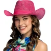Image de Boland - Hoed Sunny roze Roze - - Volwassenen - Unisex - Hawaii - Tropisch - Tuinfeest - Strandfeest - Themafeest - Carnaval