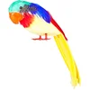 Image de Boland - Papegaai Tweets - Tropisch;Piraten - Hawaii - Carnaval - Themafeest