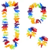 Image de Boland - Set Hawaï Rainbow Multi - Volwassenen - Unisex - - Hawaii - Themafeest - Strandfeest - Carnaval