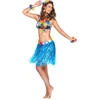 Image de Dressing Up & Costumes | Costumes - Hawai - St. Hawaïrokje Blauw (45 Cm)