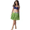 Image de Dressing Up & Costumes | Costumes - Hawai - St. Hawaïrokje Groen (45 Cm)