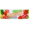 Image de Boland - Polyester banner 'Hawaii party' - Tropisch - Hawaii - Themafeest - Tuinfeest