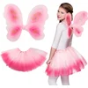 Image de Boland - Set Fee Roze - Kinderen - Vrouwen - Fee - Fee - Elfje - Fantasy - Sprookje