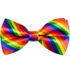 Image de Boland - Vlinderstrik Regenboog Multi - Volwassenen - Mannen - - Pride