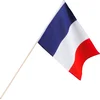 Image de Boland - Polyester zwaaivlag Frankrijk - Voetbal - Voetbal