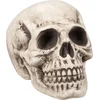 Image de Boland - Schedel Bighead (M) - Horror - Horror